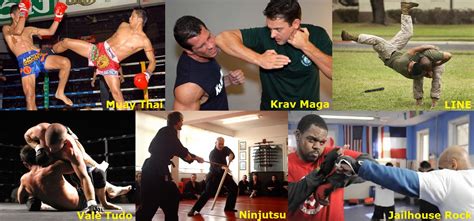 What Is the Most Lethal Martial Art: A Multi-Perspective Analysis